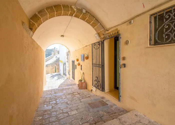 Leondari V Collection